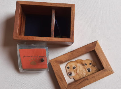 recoleccion de mascotas